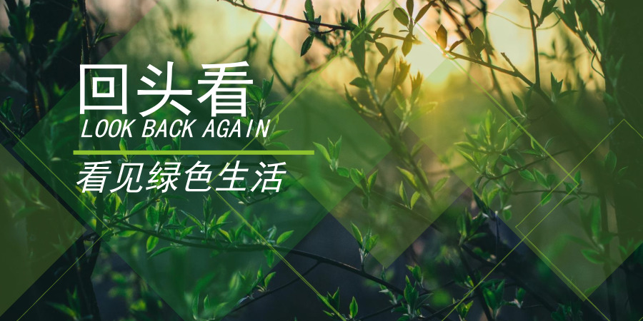又上熱搜又上頭條，環(huán)保部門查出什么了？